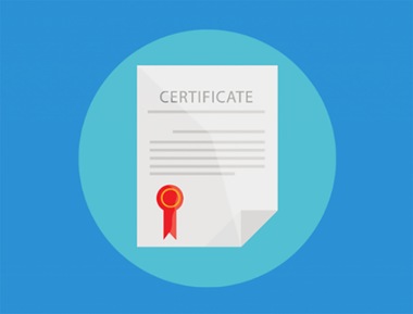 What Is the Difference Between CIS and CIT Levels of Certification?